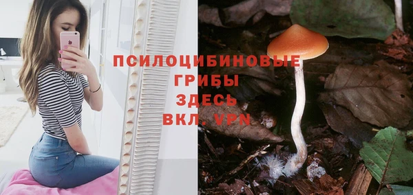 альфа пвп Каменногорск
